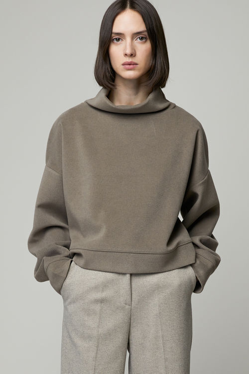 sweatshirt turtleneck